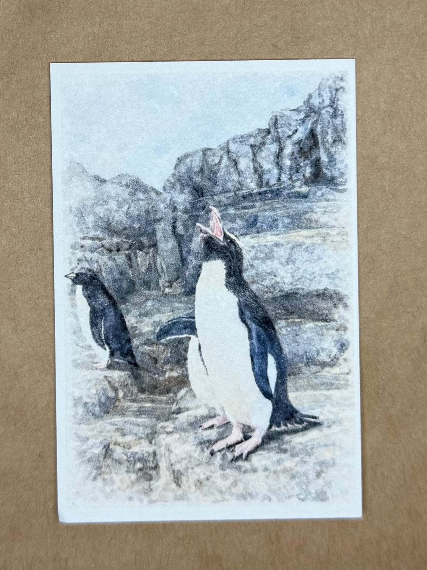 Tranquil Penguin | ACEO Watercolor Print