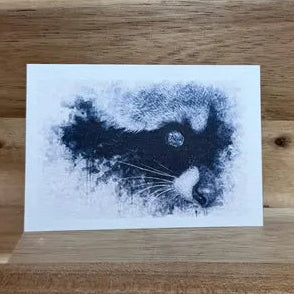 Raccoon | ACEO Watercolor Print