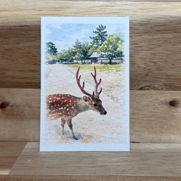 Gentle Deer from Nara Park, Japan | ACEO Watercolor Print