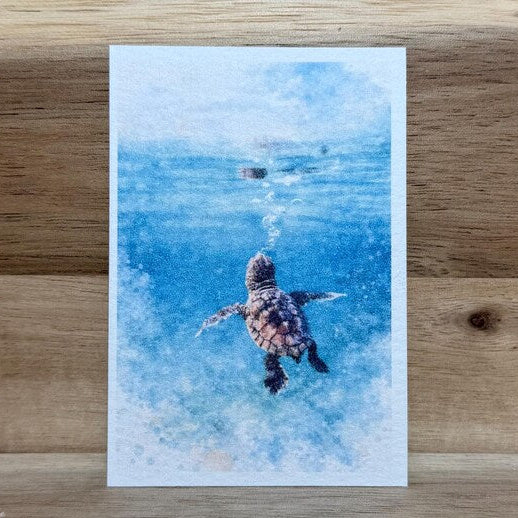 Small Seaturtle | ACEO Watercolor Print