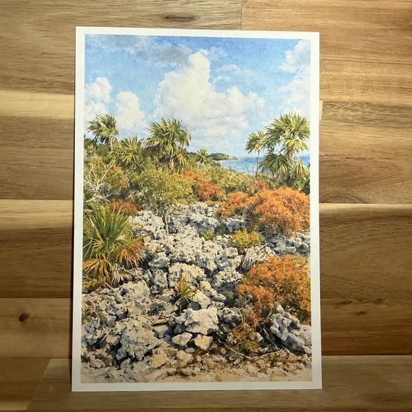 Beach Rocks | ACEO Watercolor Print