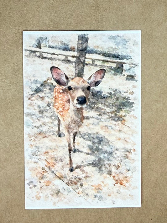 Sweet Deer | ACEO Watercolor Print