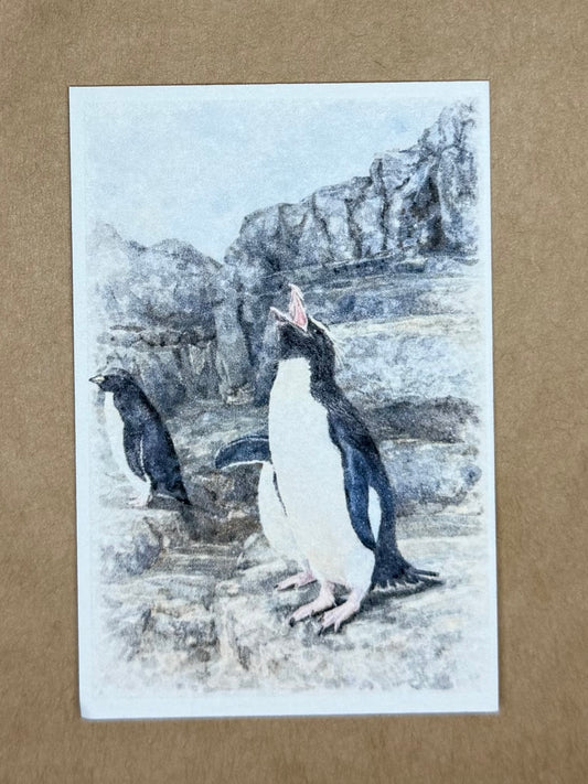 Tranquil Penguin | ACEO Watercolor Print
