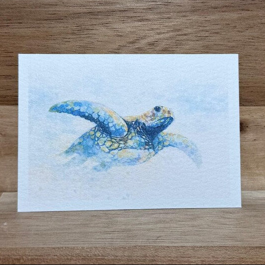 Seaturtle | ACEO Watercolor Print