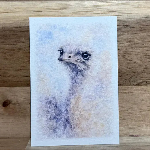 Ostrich | ACEO Watercolor Print