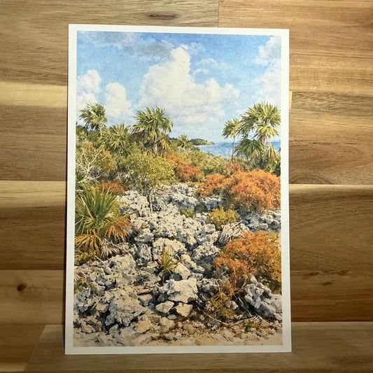 Beach Rocks | ACEO Watercolor Print