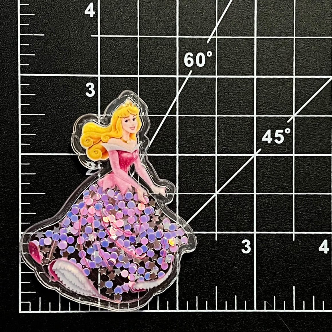 Disney Princess Shakers